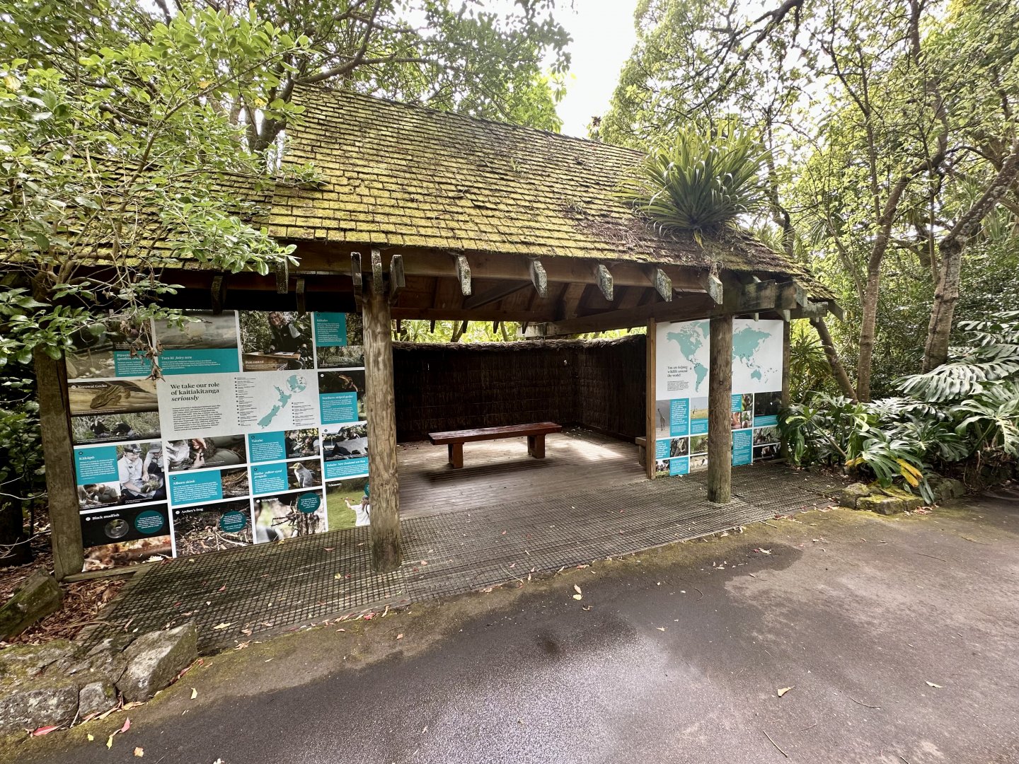 Old Orangutan Viewing Deck