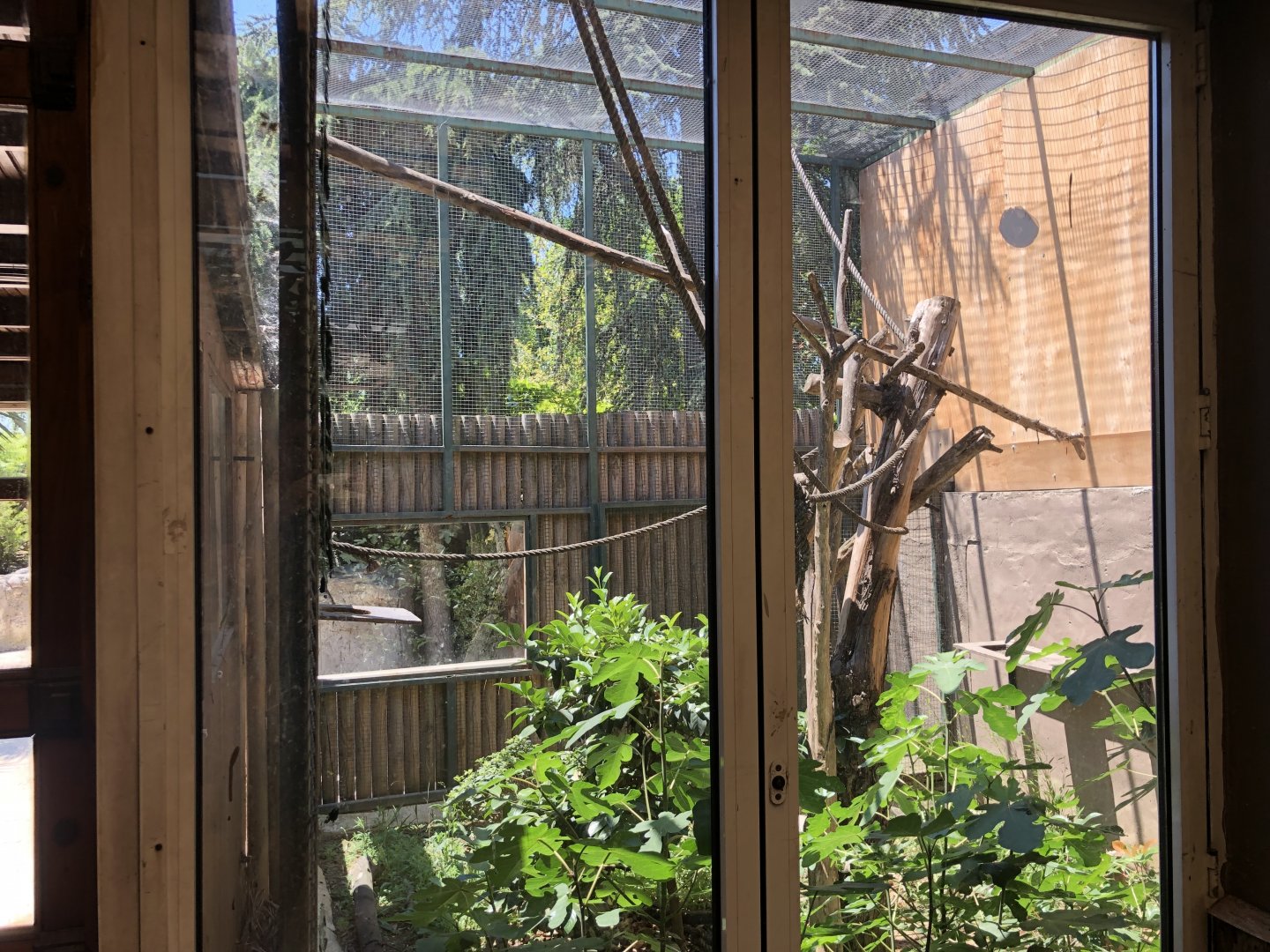 Old outdoor capuchin exhibit