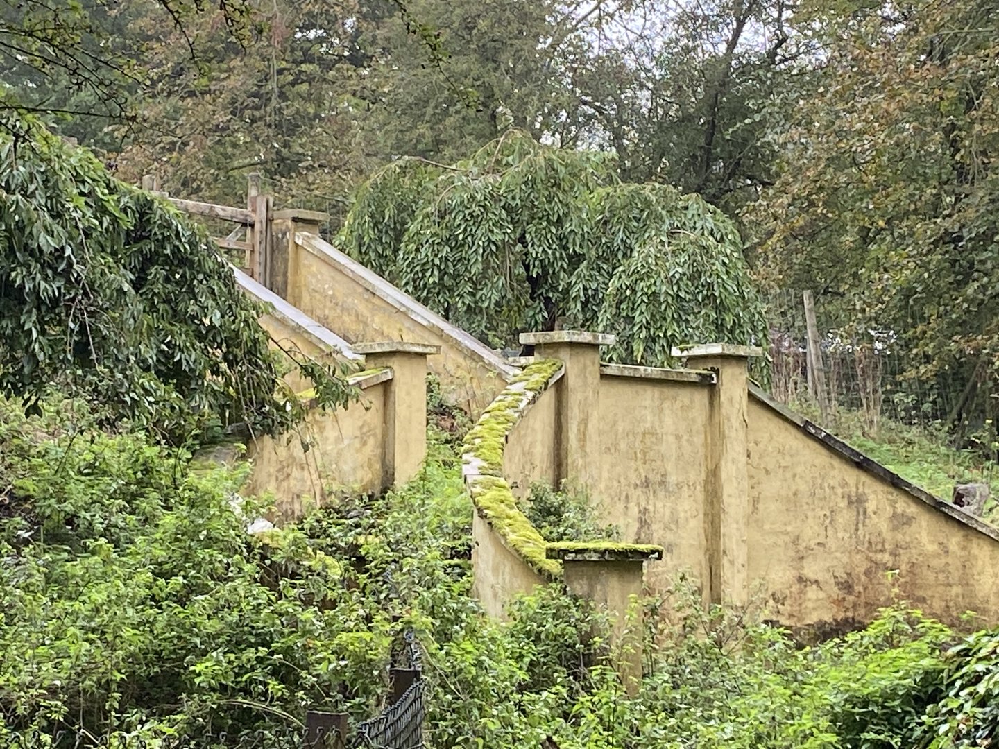 Old over grown staircase / slope near warehouse area