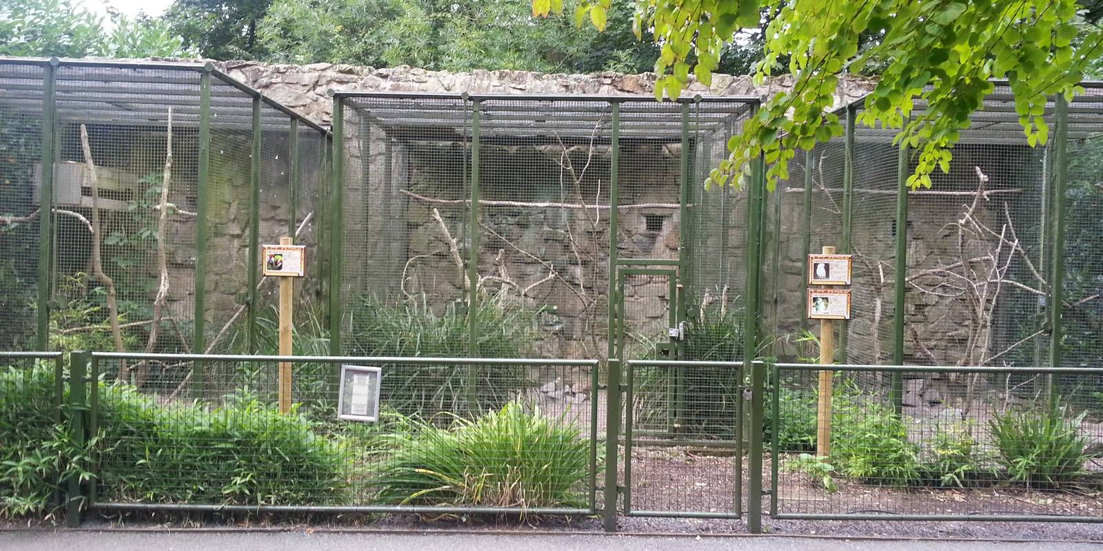 Old parrot aviaries