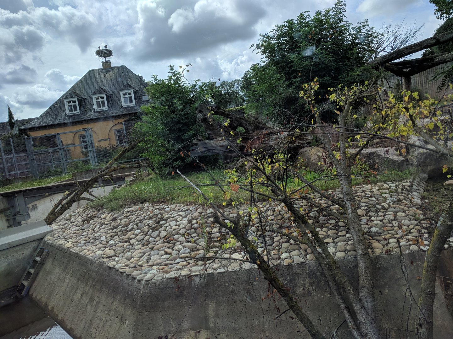 Old Part of Syrian Brown Bear and Corsac Fox Enclosure