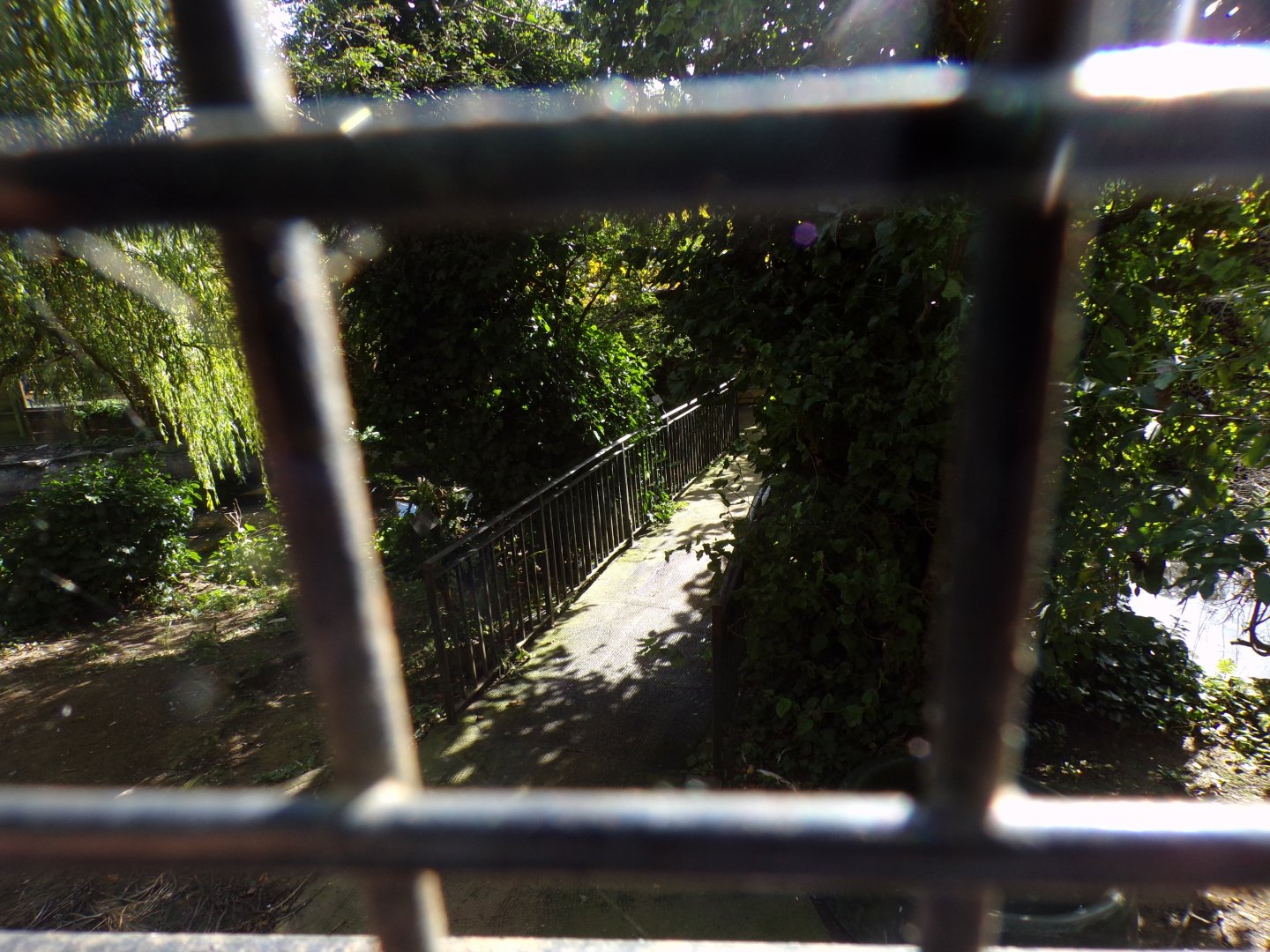 Old path through pelican aviary 16.9.24