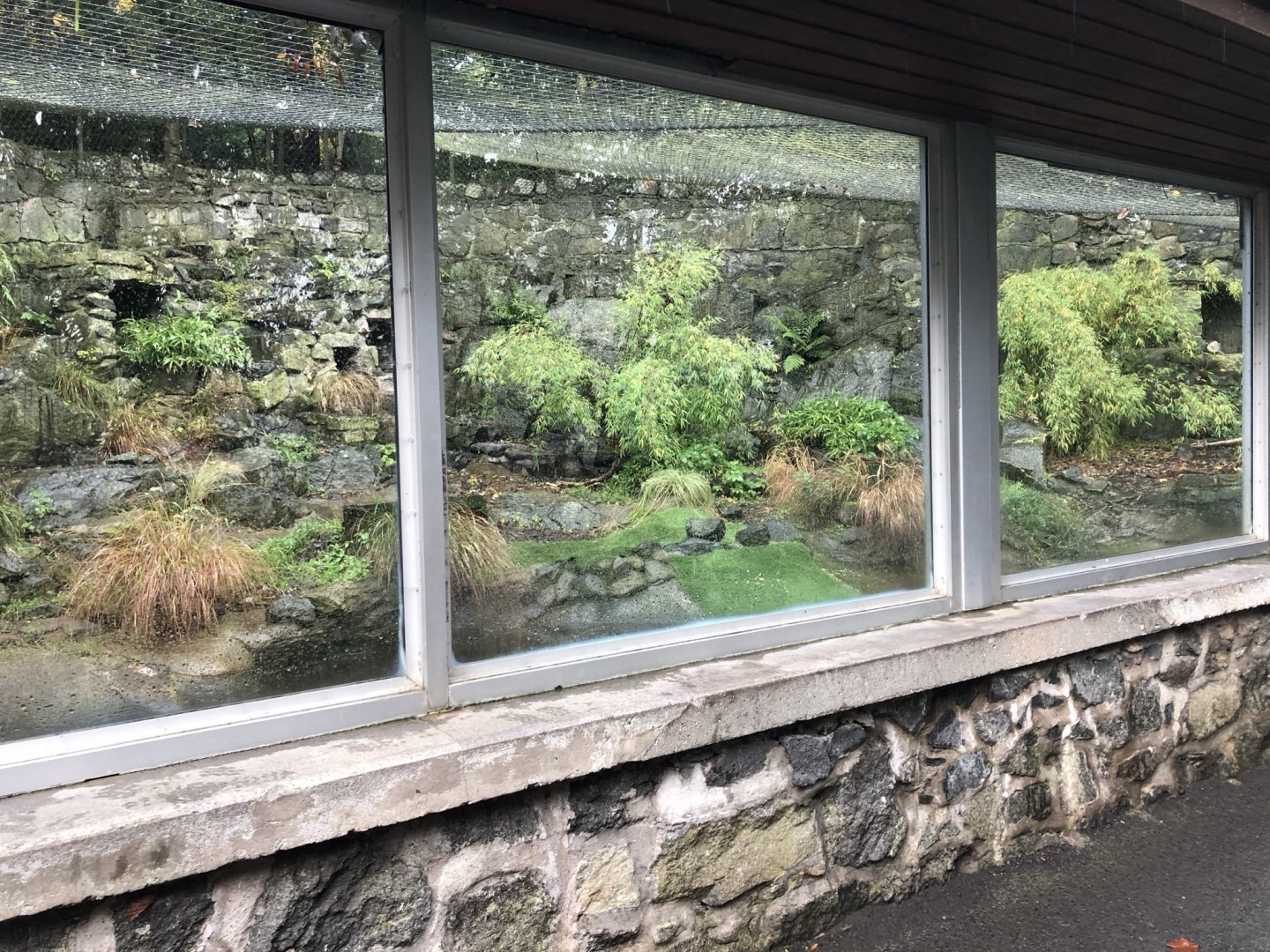 Old Penguin Enclosure at Edinburgh Zoo (2020)