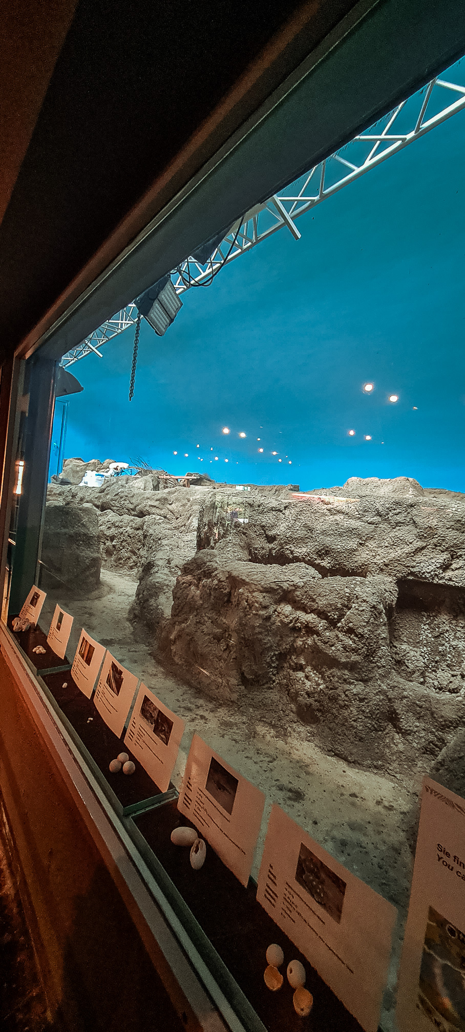 Old penguin enclosure