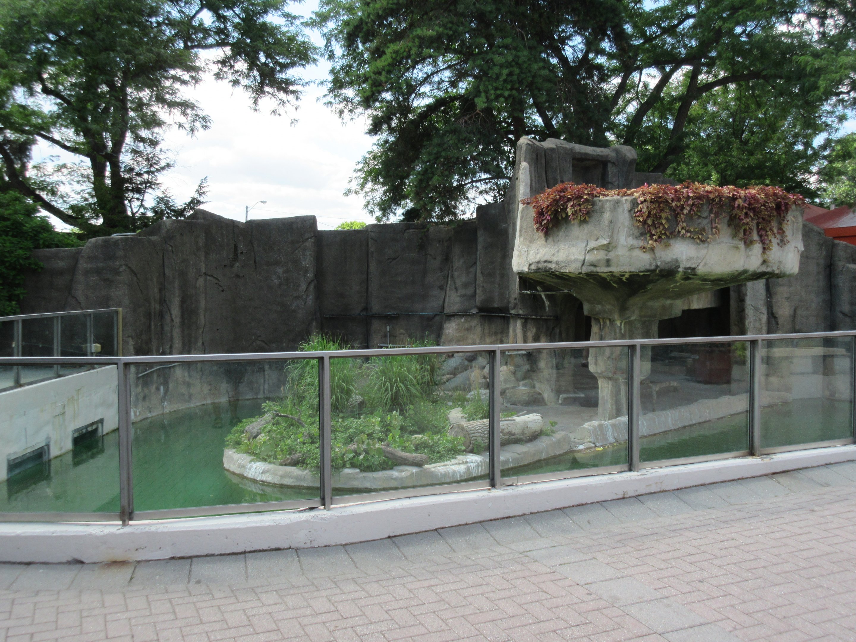 Old Penguin Pool (now empty)