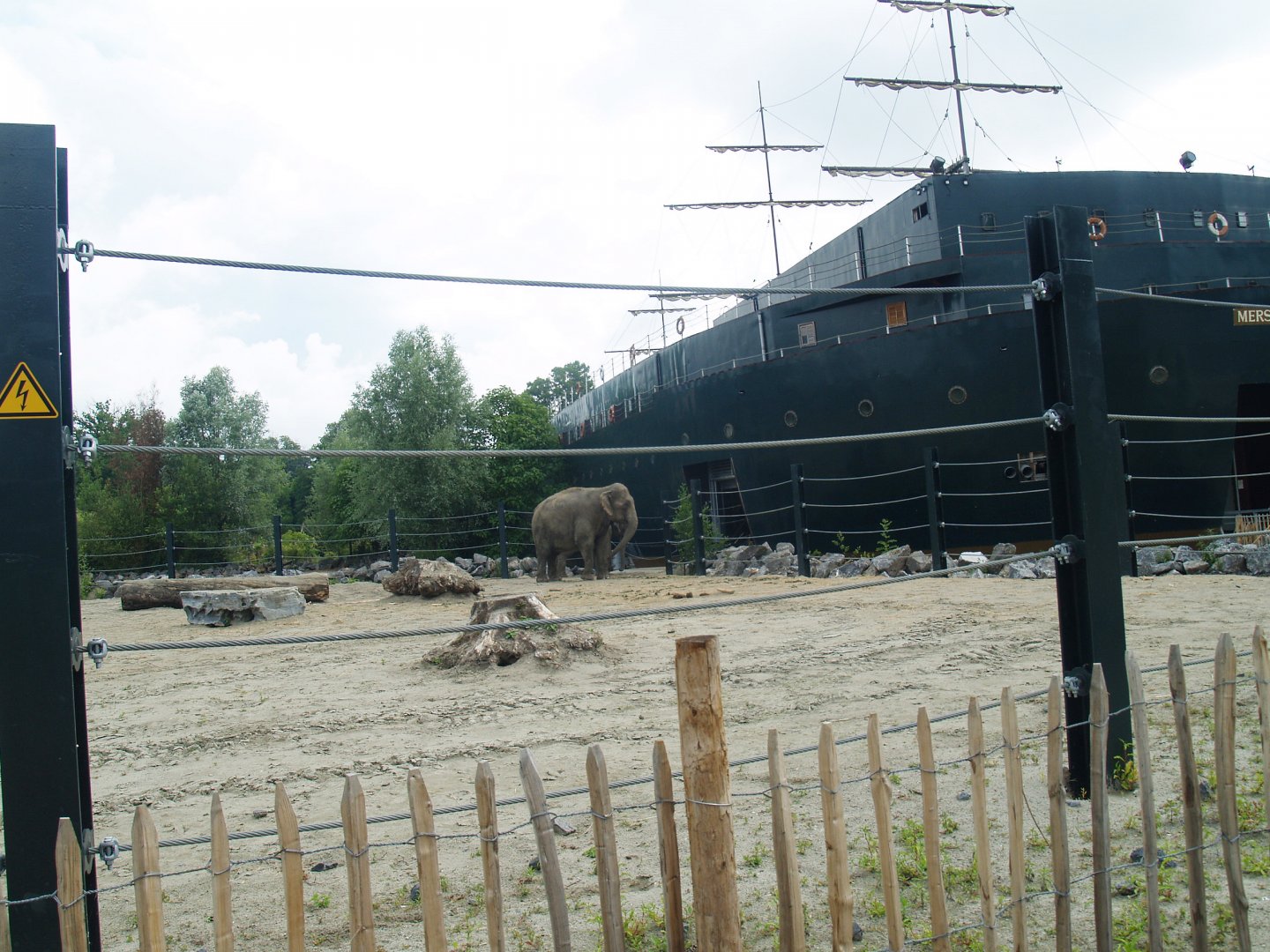 Old photo - Asian elephant paddock next to Mersus Emergo, 2009