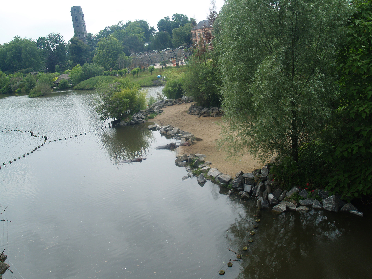 Old photo - Hippopotamus exhibit next to Mersus Emergo, 2009