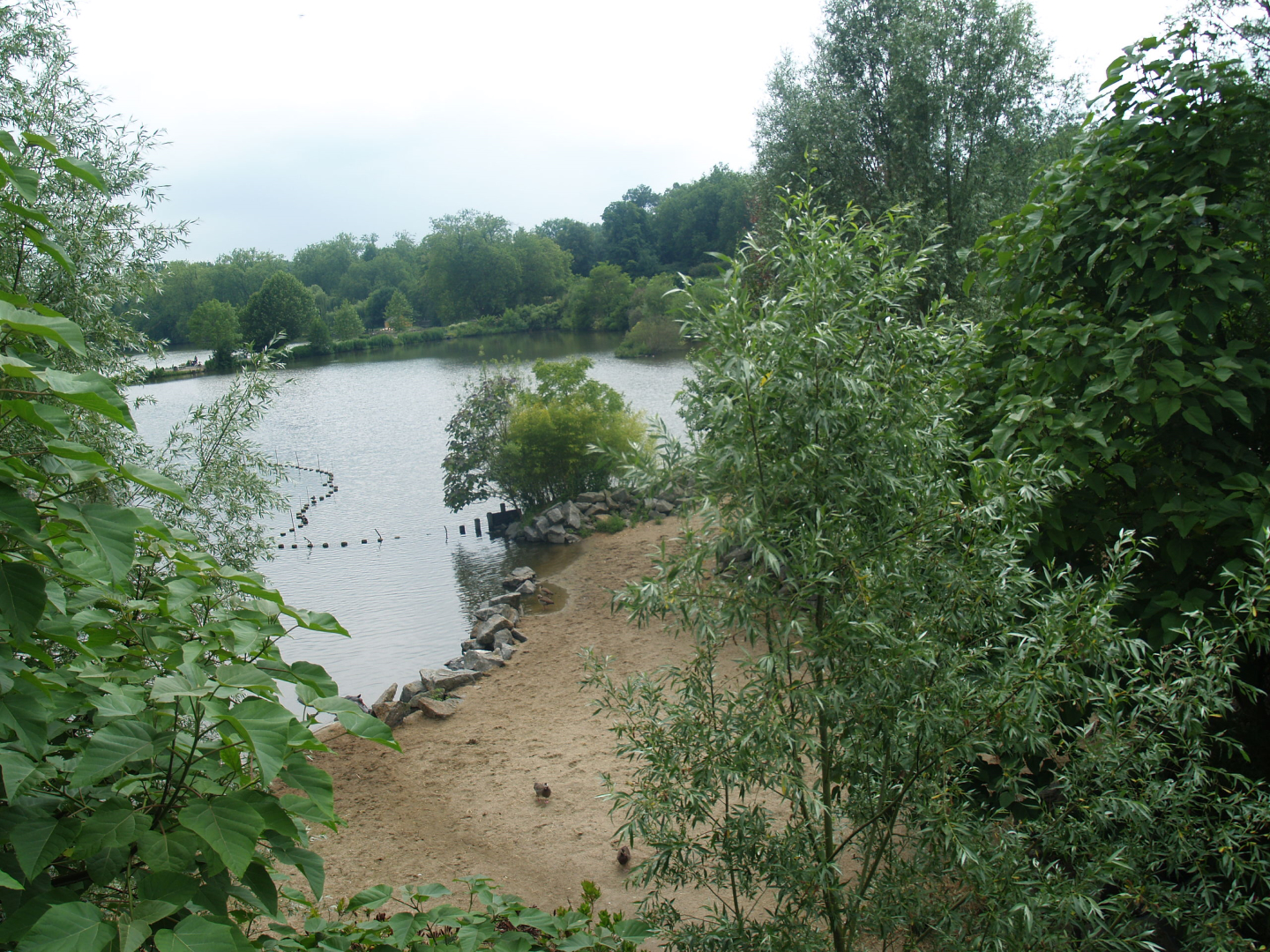 Old photo - Hippopotamus exhibit next to Mersus Emergo, 2009