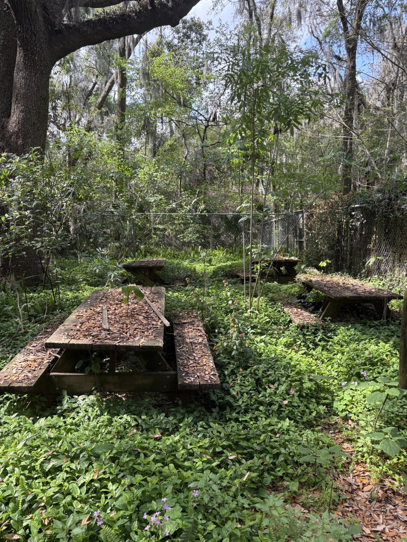 Old picnic area