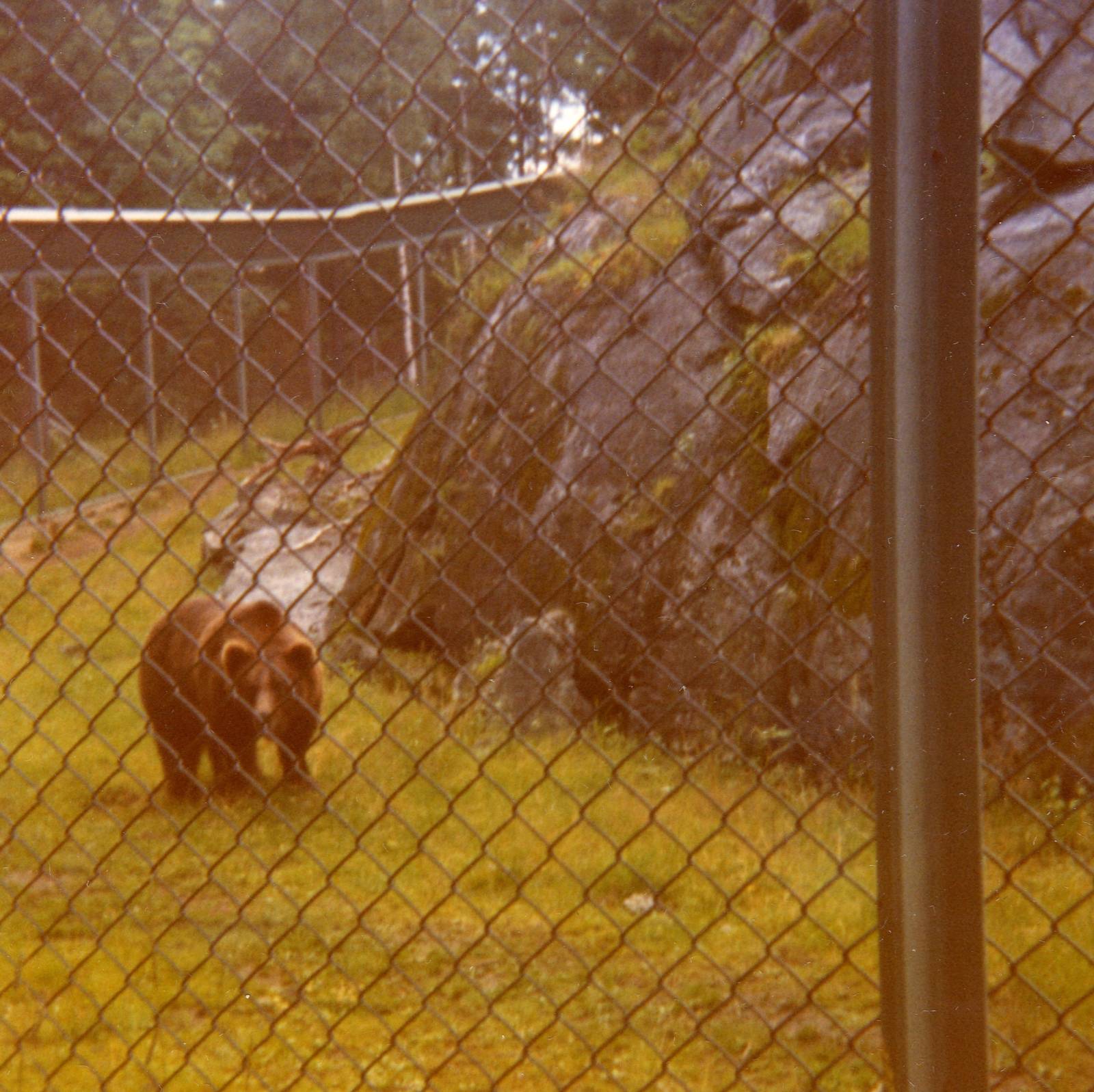 Old pictures - Borås Zoo in 1968