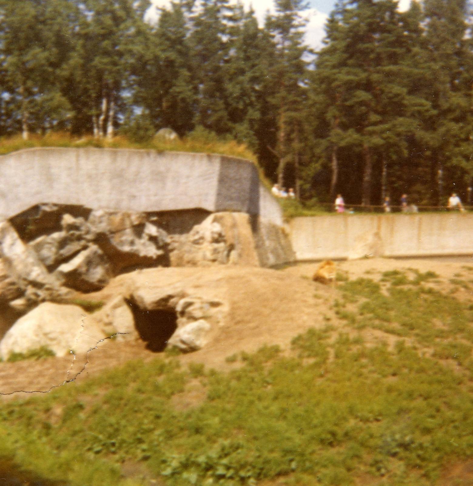 Old pictures - Borås Zoo in 1968