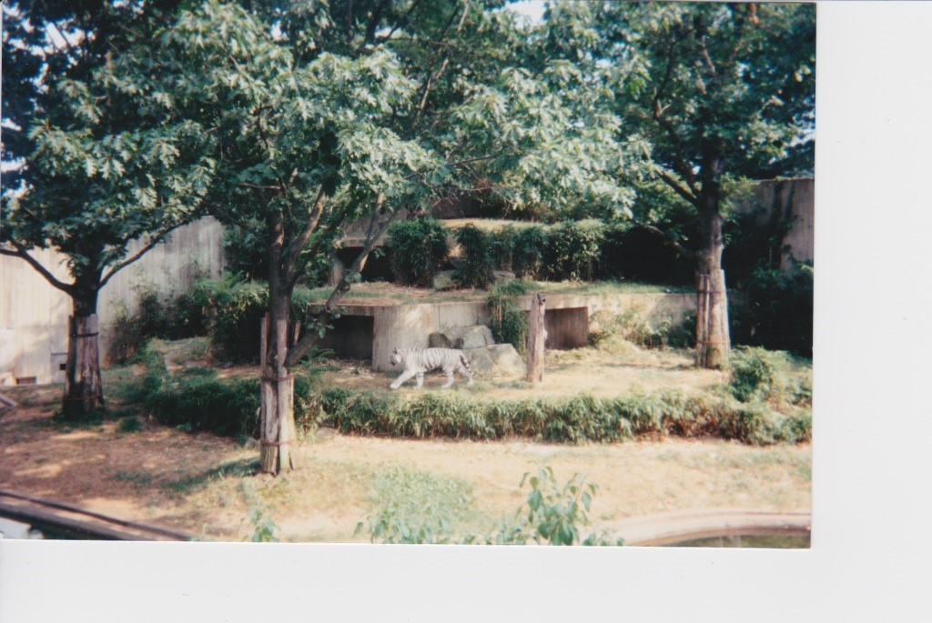 old pictures of the National zoo