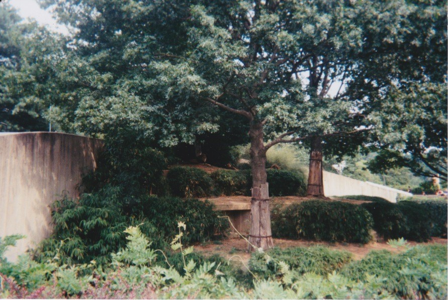 Old pictures of the National zoo