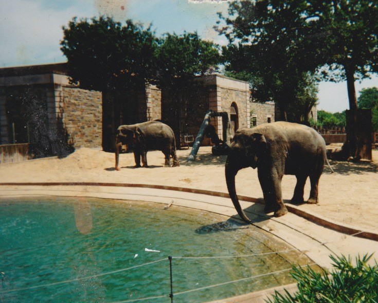 Old pictures of the National zoo
