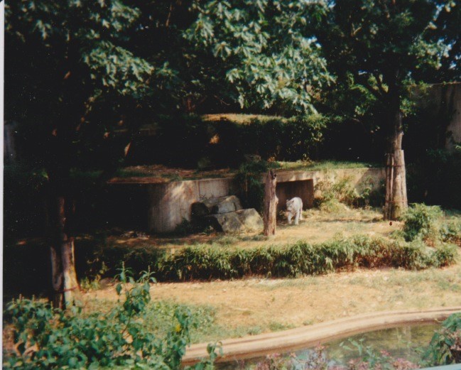 Old pictures of the National zoo