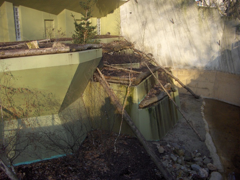 Old Polar Bear Enclosure