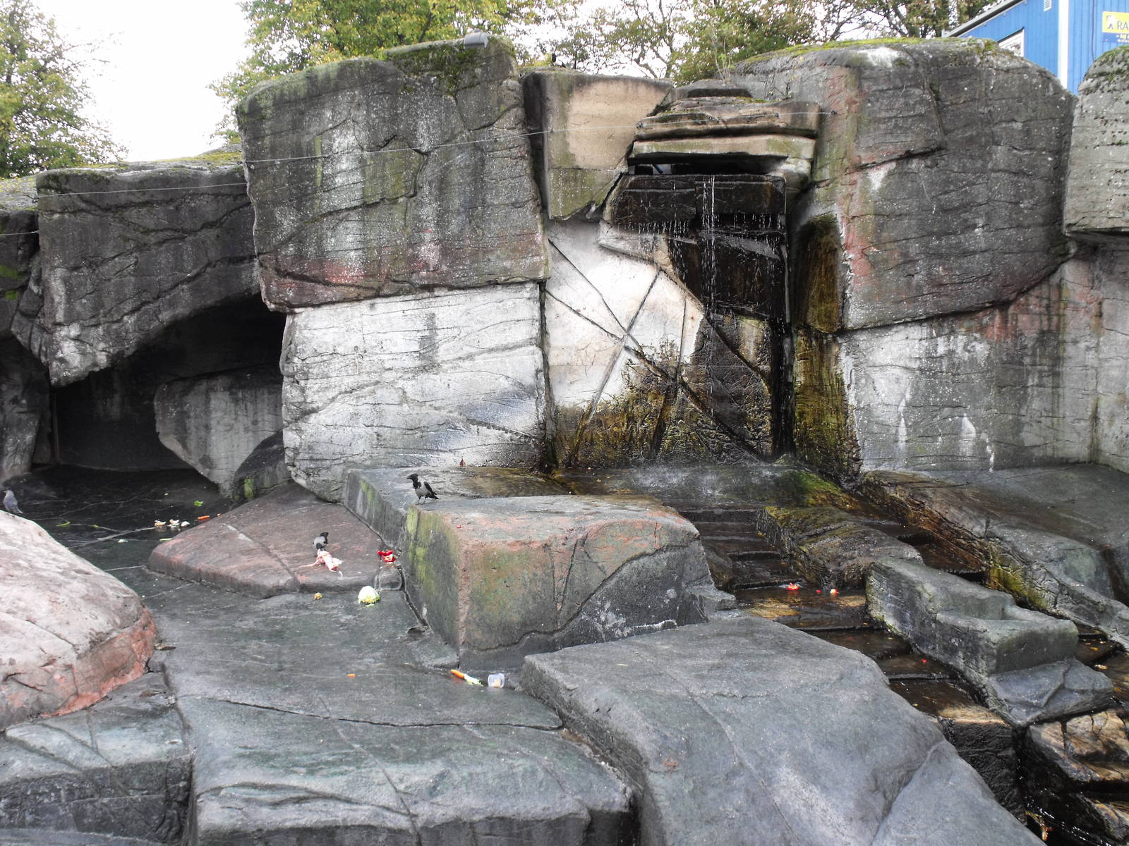 Old Polar Bear Enclosure