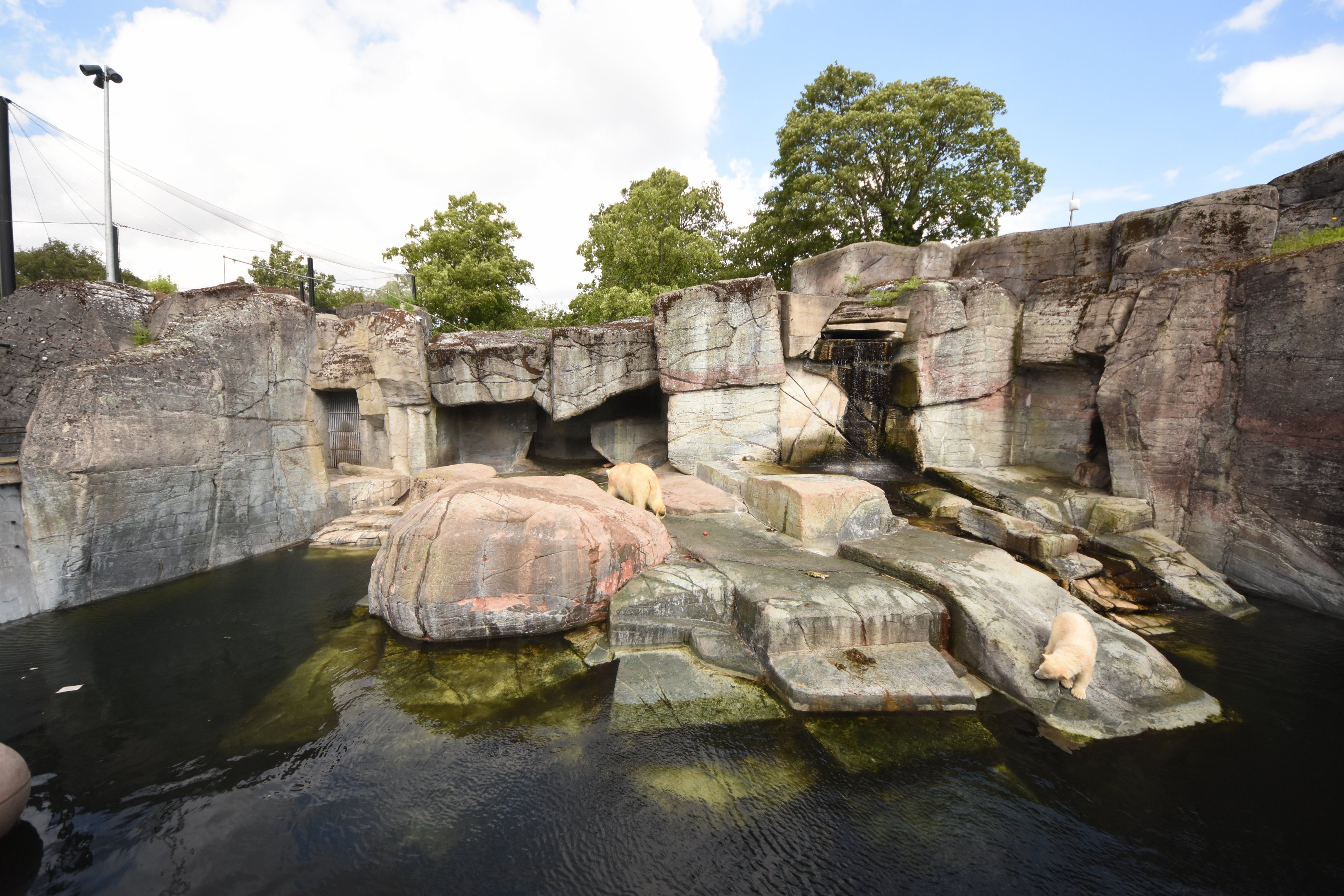 Old polar bear enclosure