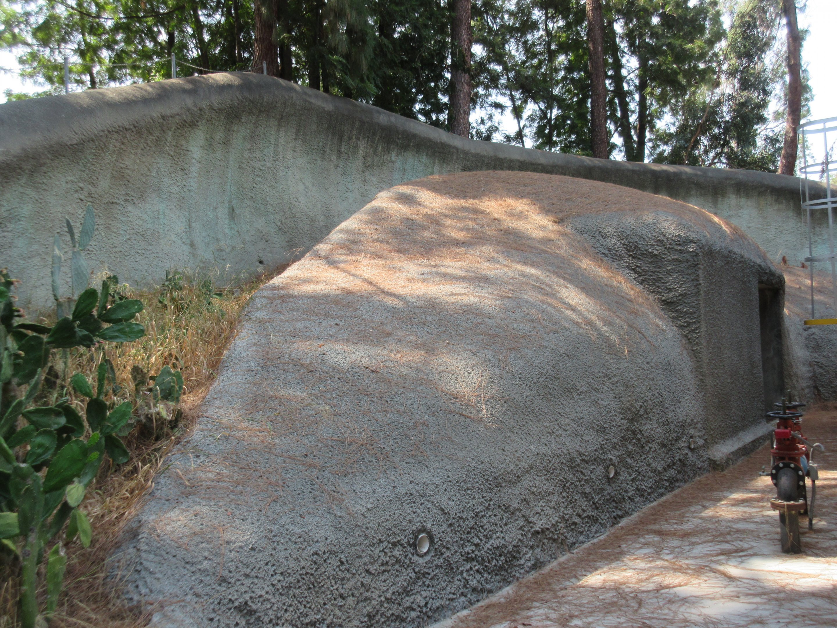 Old Polar Bear Exhibit (near LAIR)