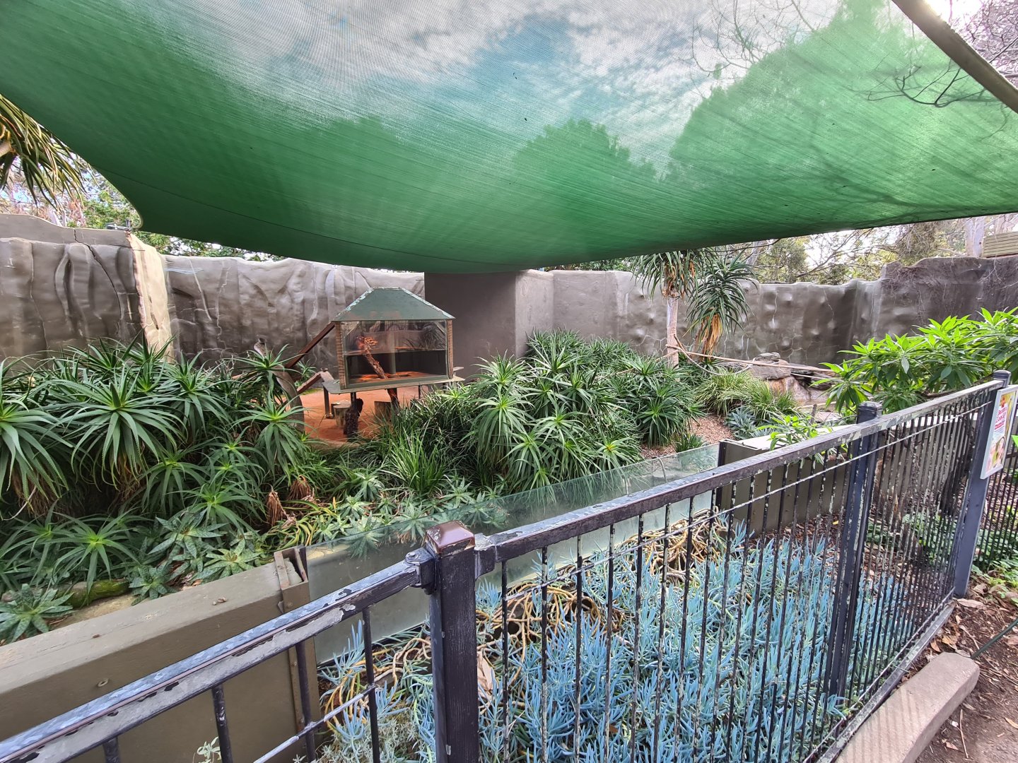 Old Polar bear exhibit now Ring-tailed lemur exhibit