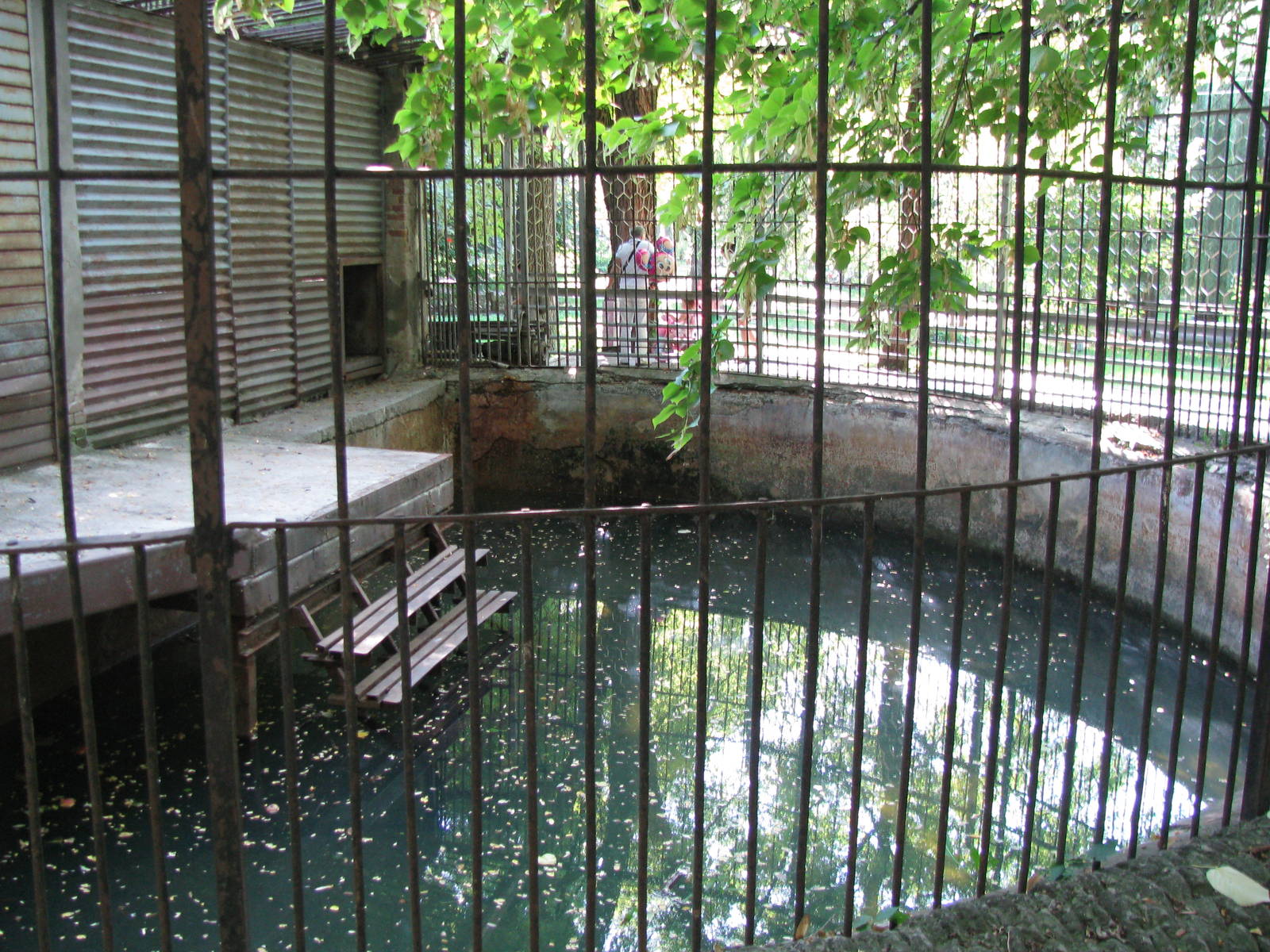 Old polar bear exhibit - pool