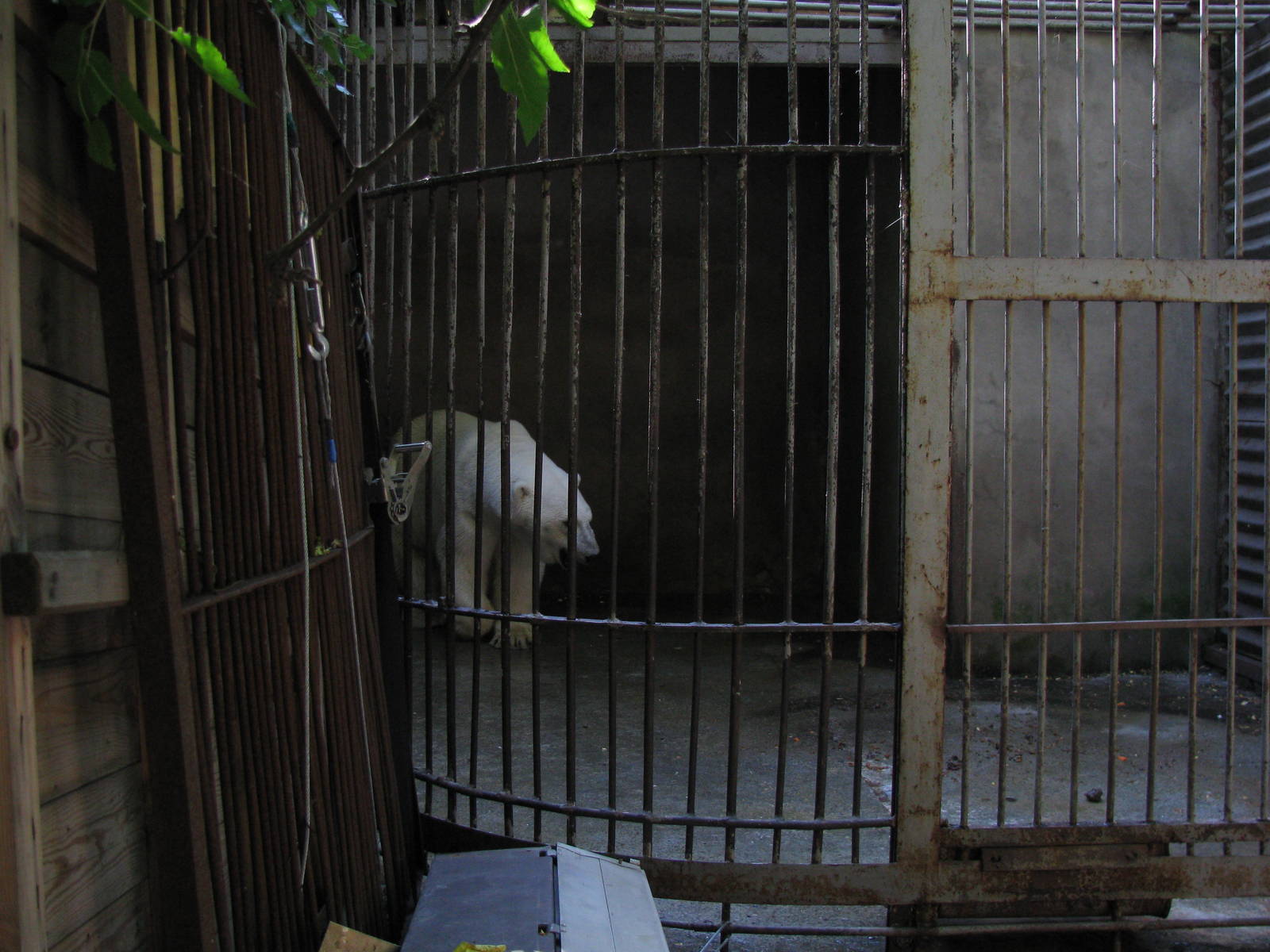 Old polar bear exhibit