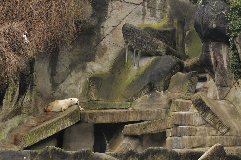 Old polarbear enclosure