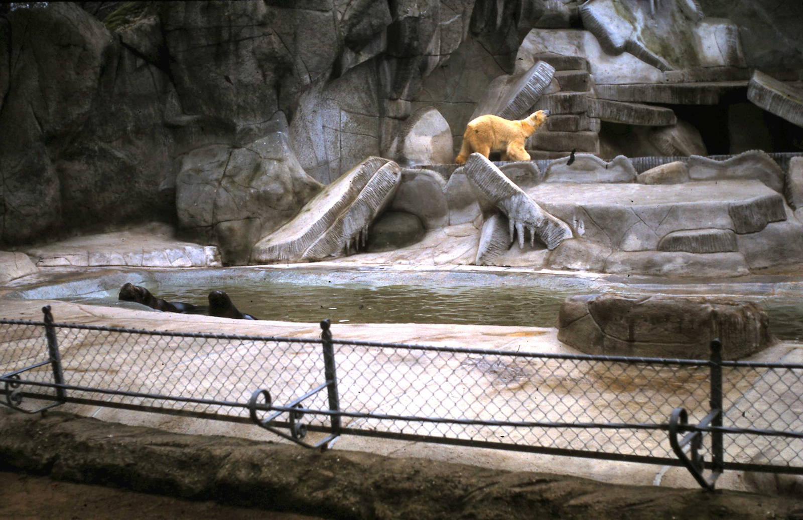 old polarium exhibit