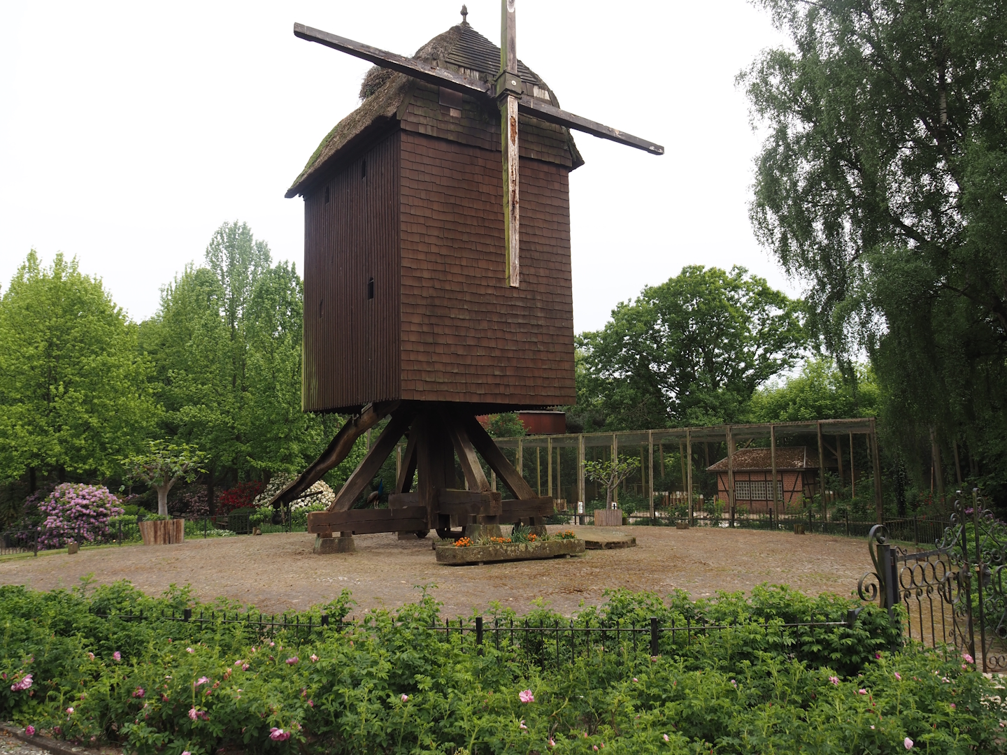 Old post windmill, with seabird aviary in the background, 2024-05-21