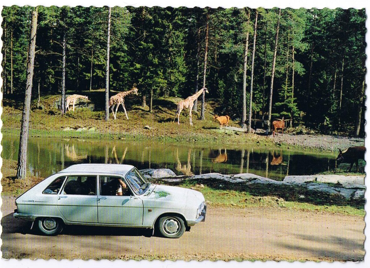 Old Postcard: The Safari park