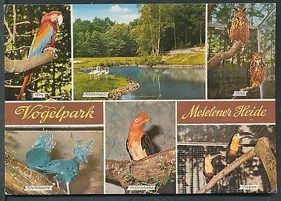 Old postcard Vogelpark Metelener Heide
