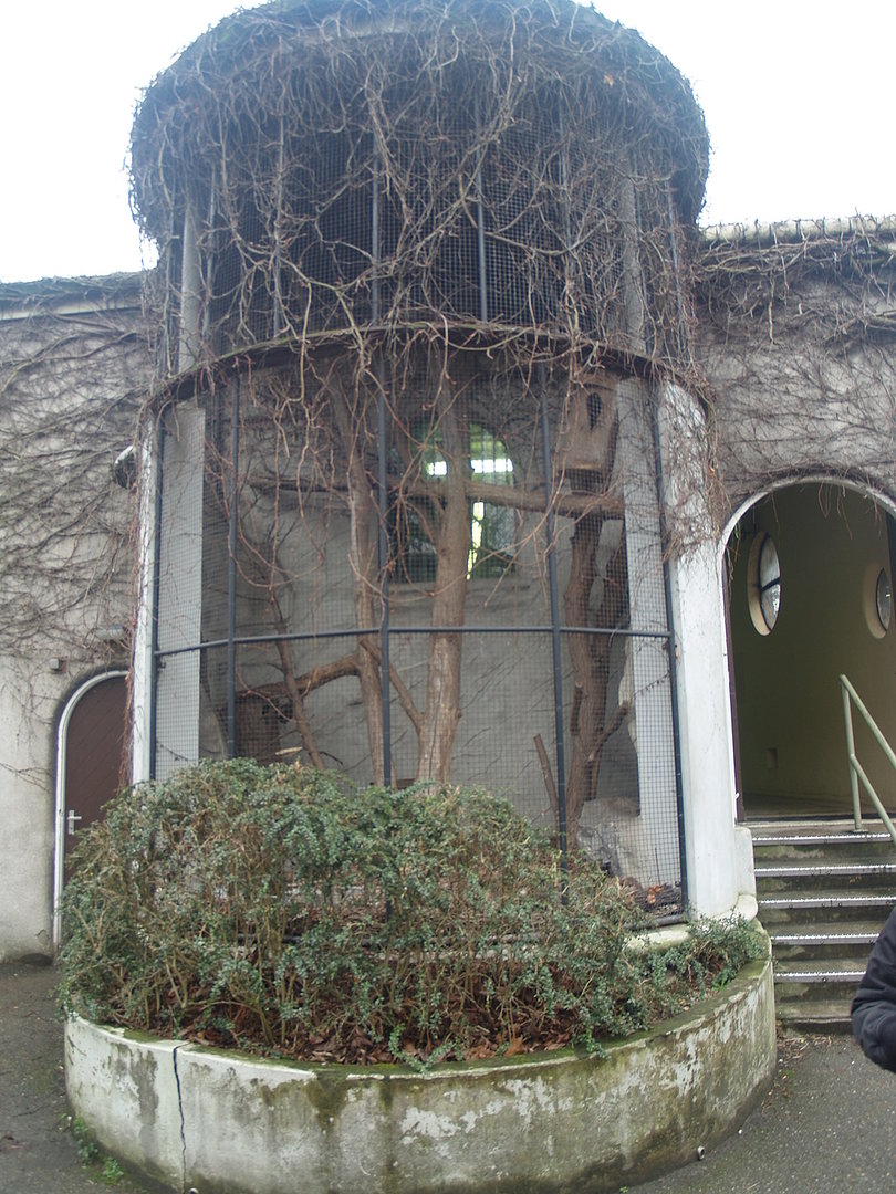Old predator house at Rotterdam Zoo - Malayan civet cage