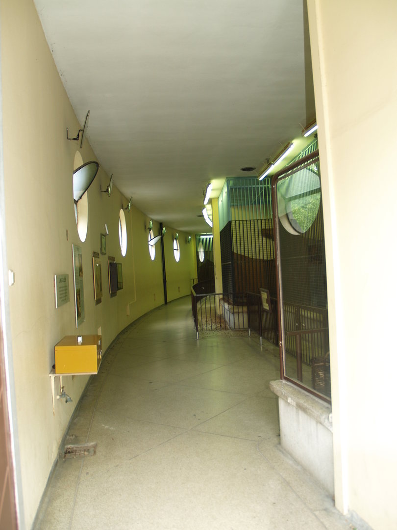 Old predator house at Rotterdam Zoo