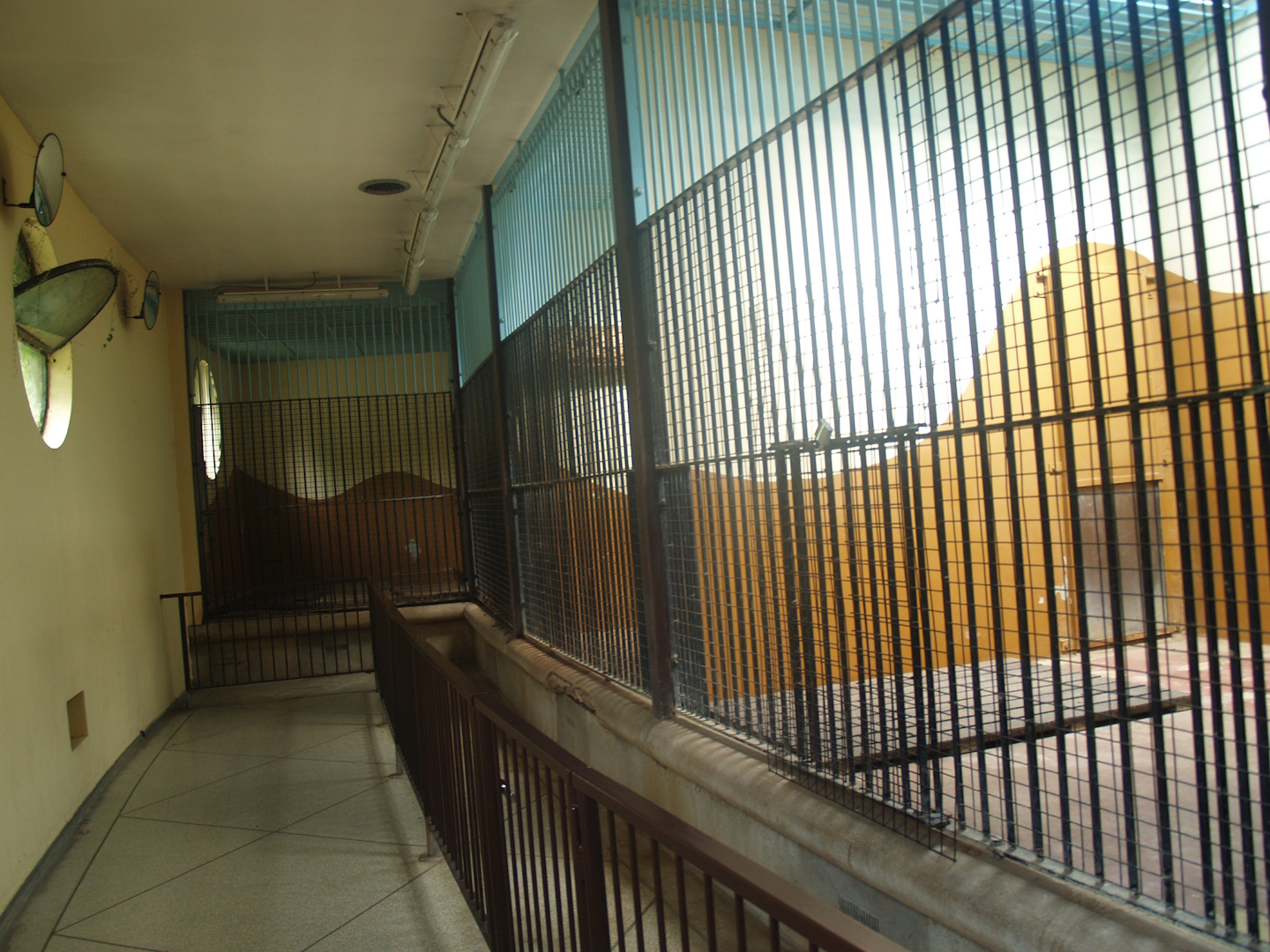 Old predator house at Rotterdam Zoo