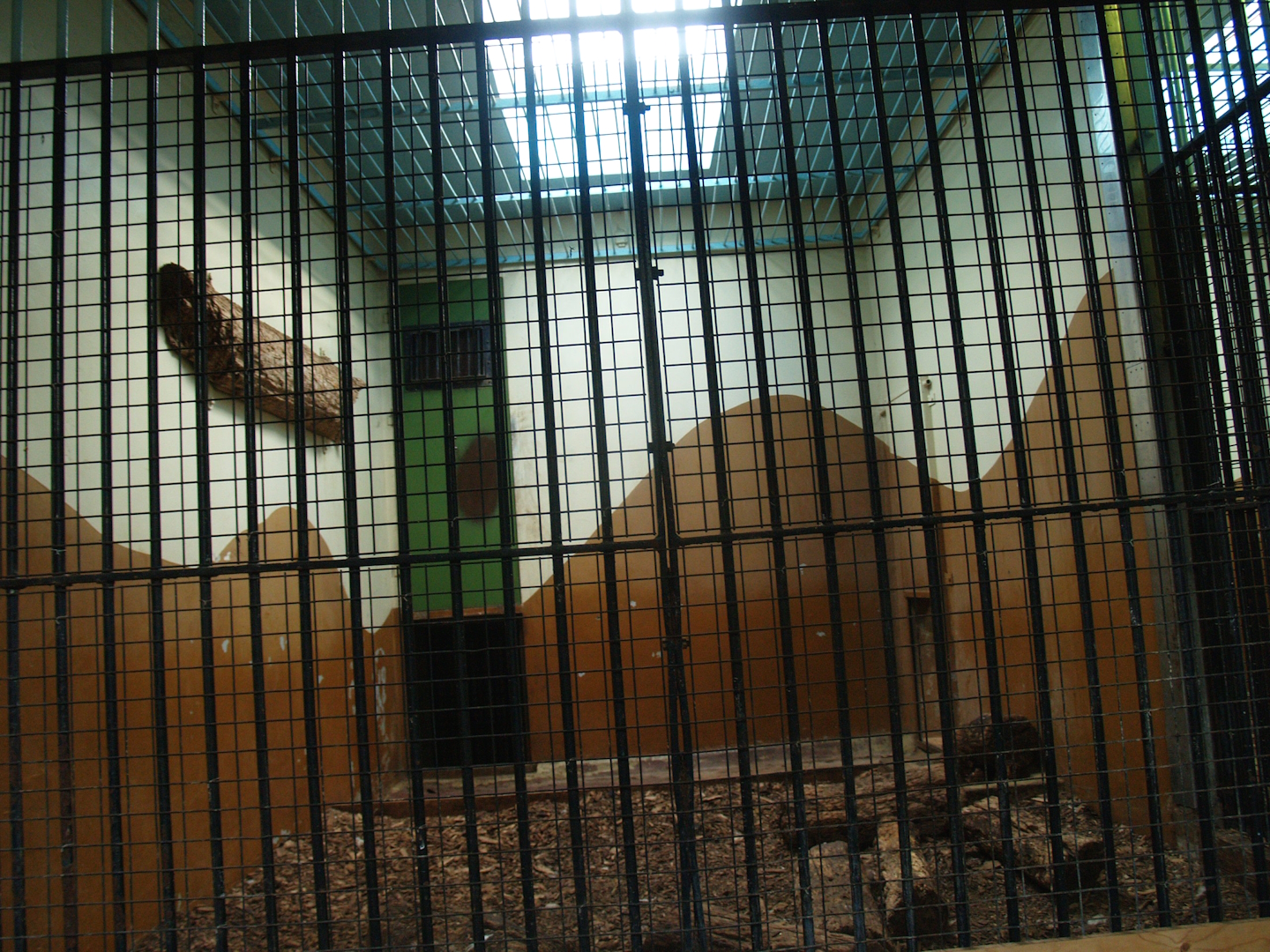 Old predator house at Rotterdam Zoo