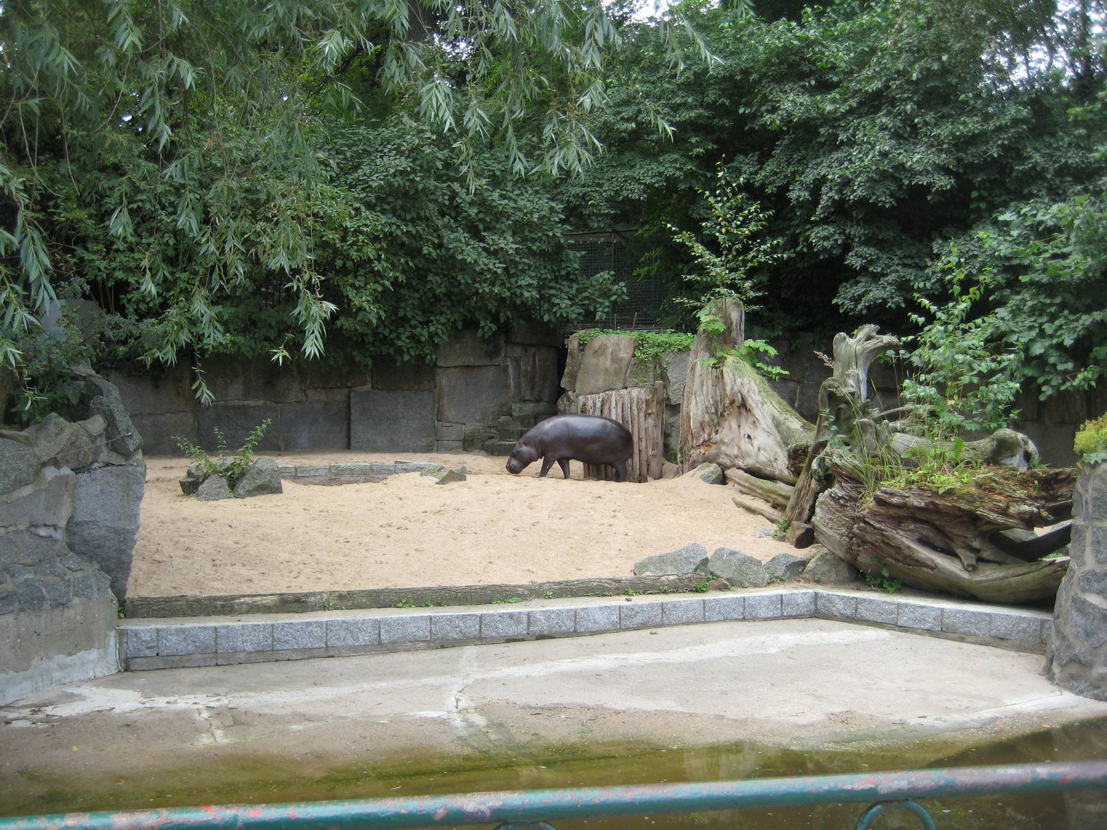 Old Pygmy Hippo Exhibit