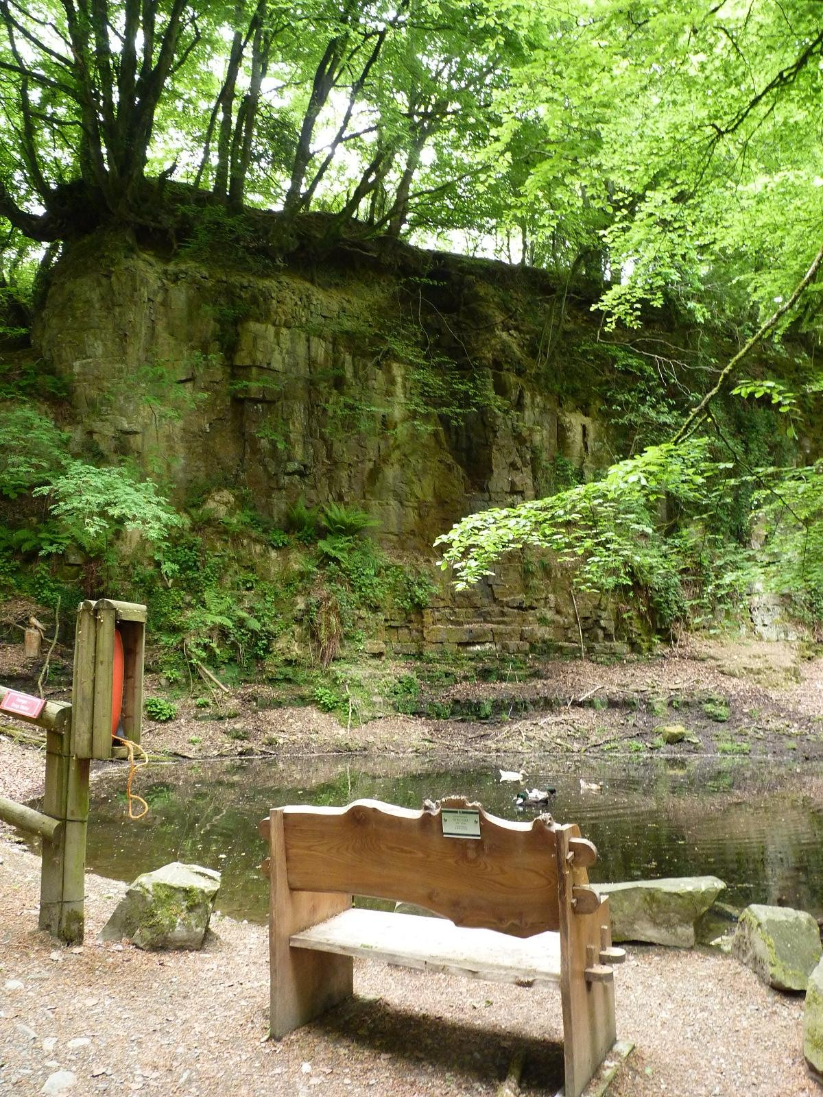 Old Quarry Pool