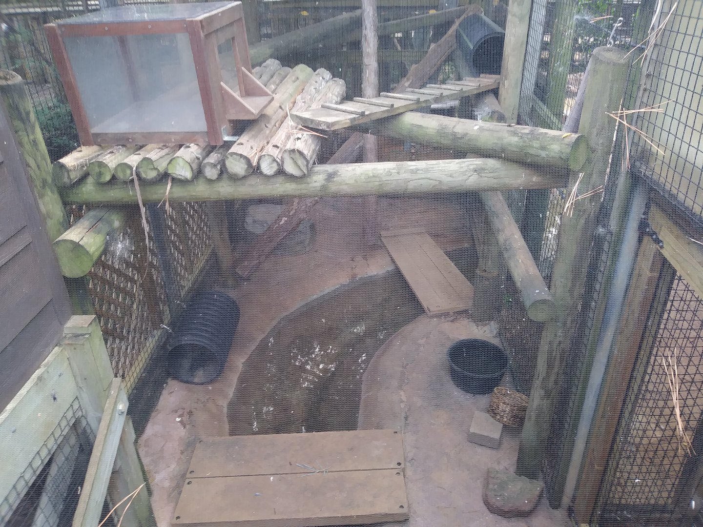 Old Raccoon Enclosure