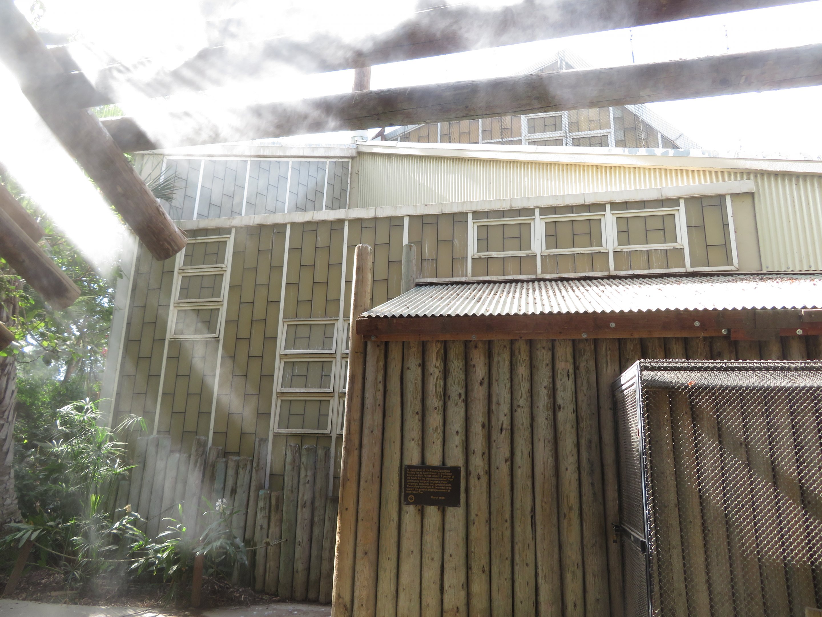 Old Rainforest Building