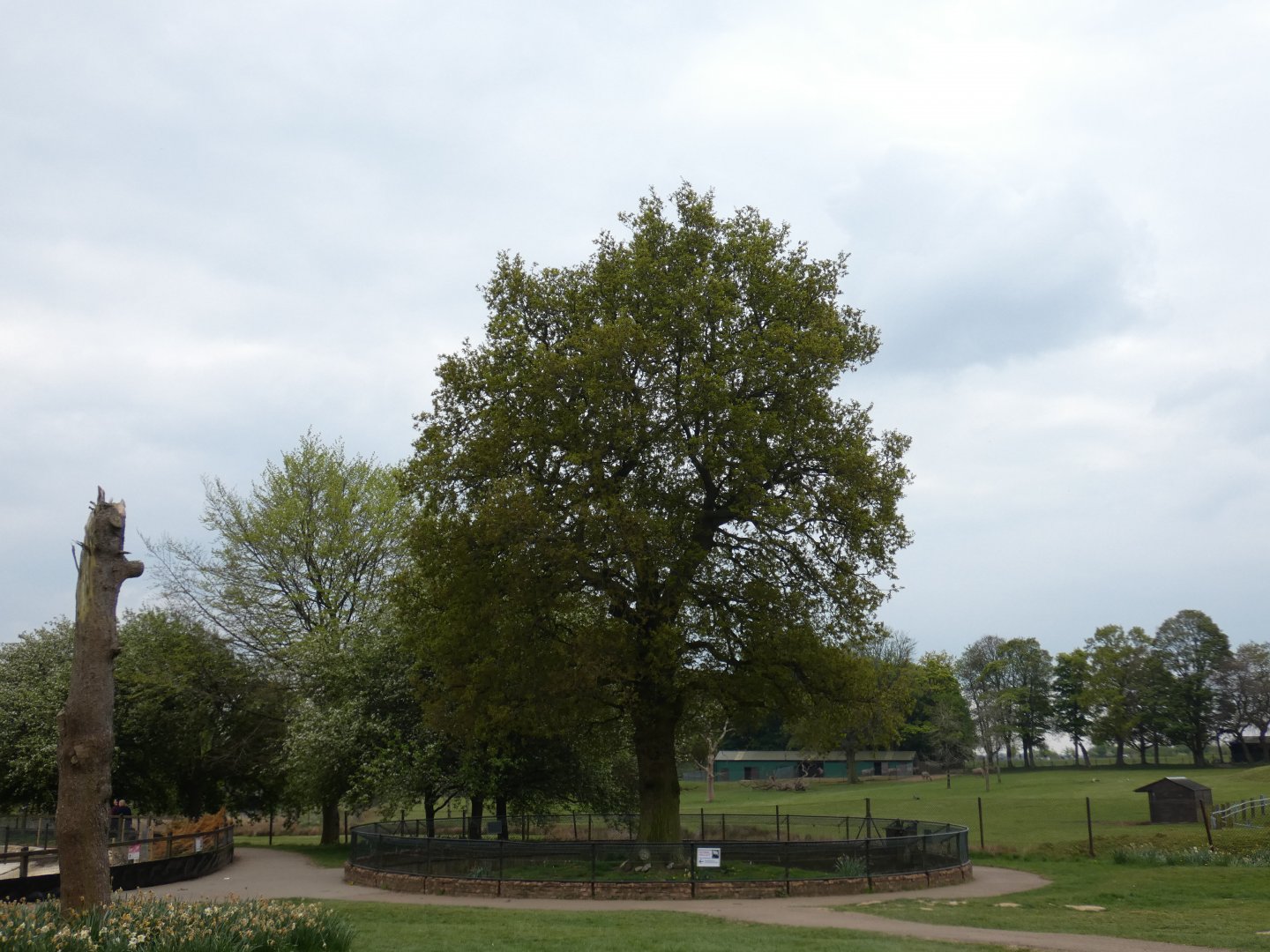 Old red panda enclosure