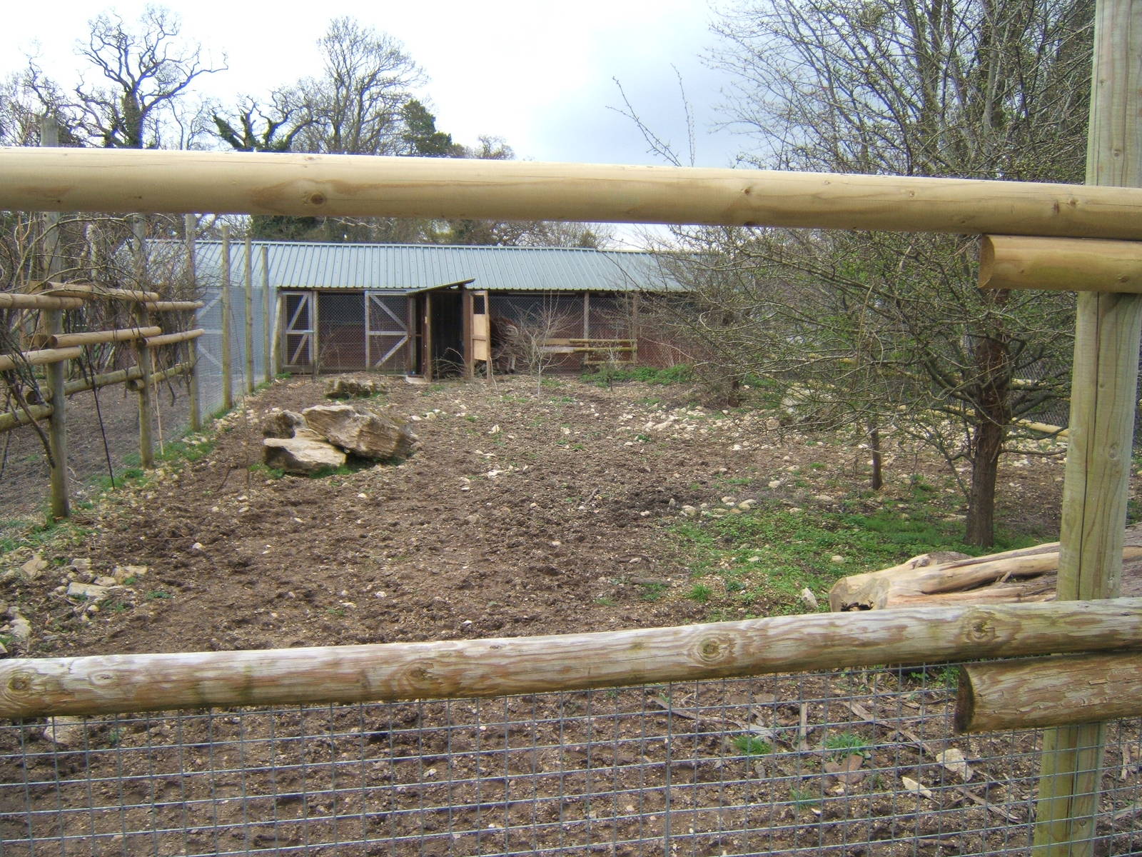 Old Red River Hog housing now used for Okapi