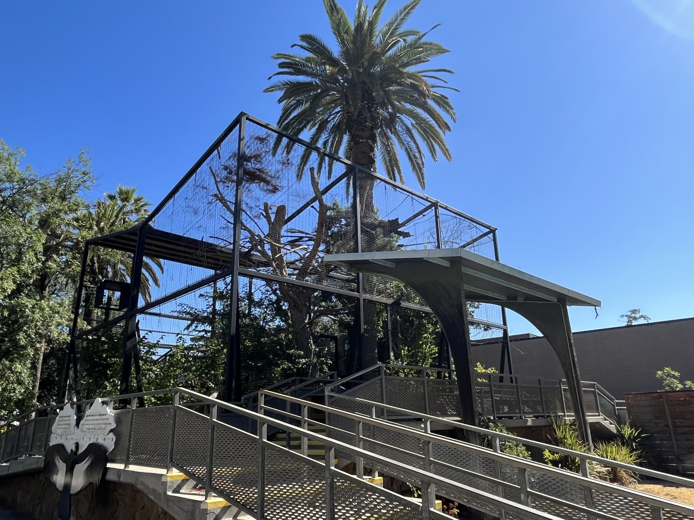 Old Rhinoceros Hornbill Aviary (empty)