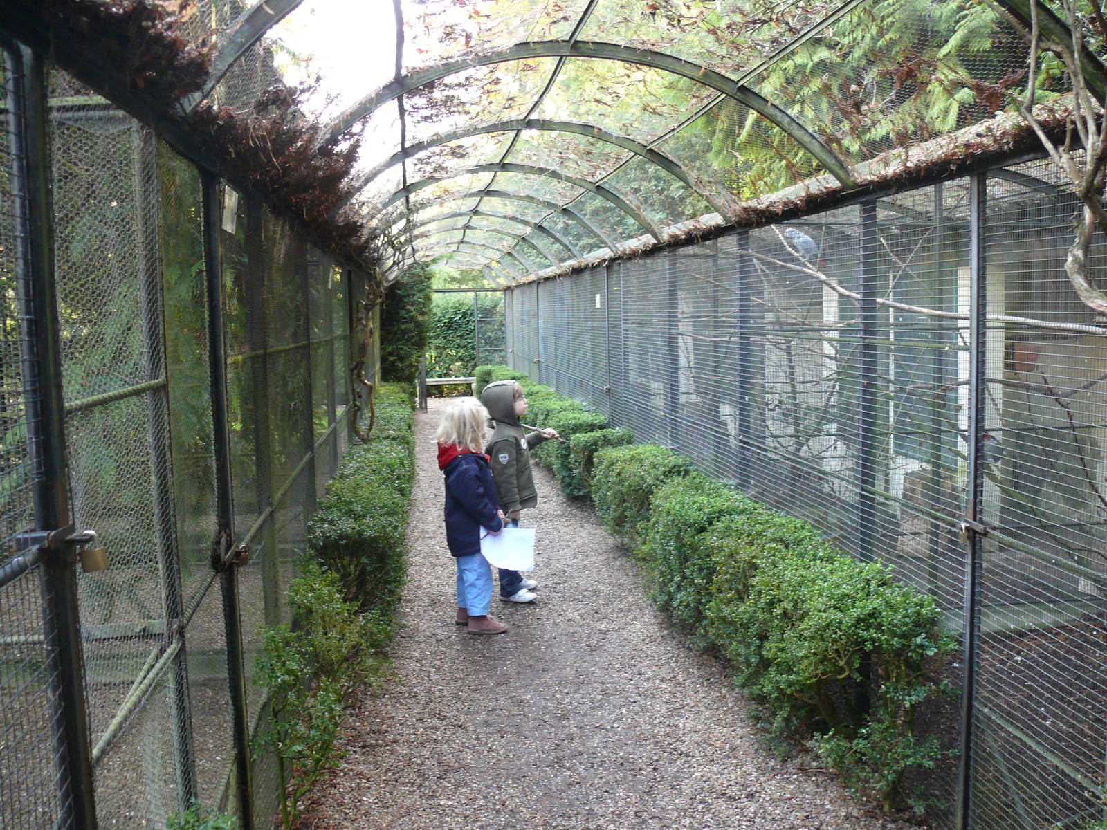 Old-school aviaries