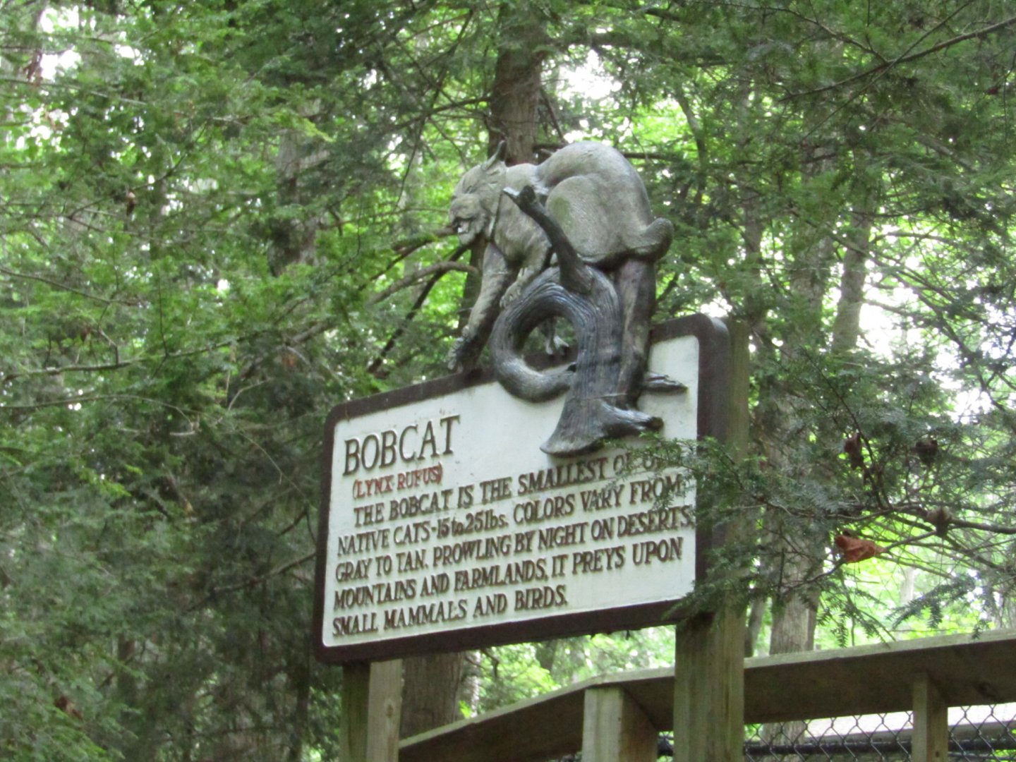 Old-School Bobcat Signage