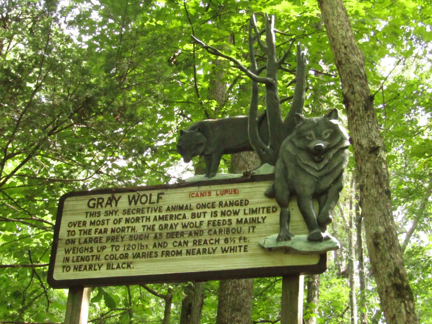 Old-School Wolf Signage