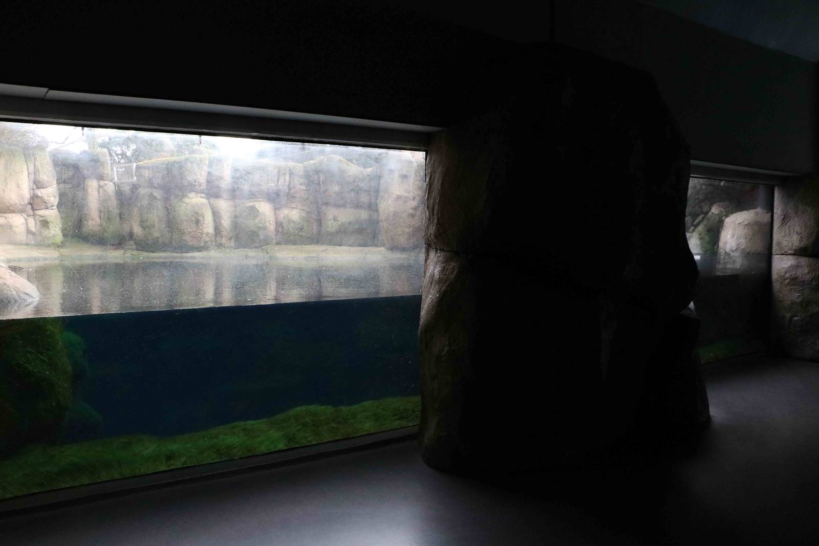 Old sea otter enclosure? February 2016