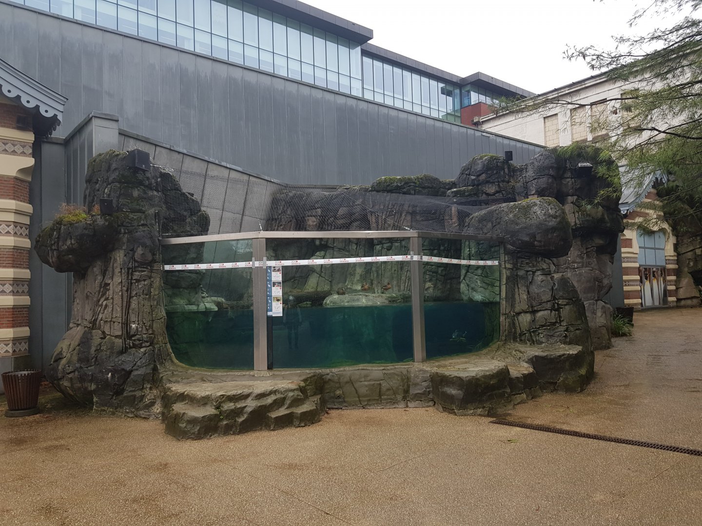 Old sea otter exhibit Antwerp zoo turned sea duck and sturgeon enclosure.