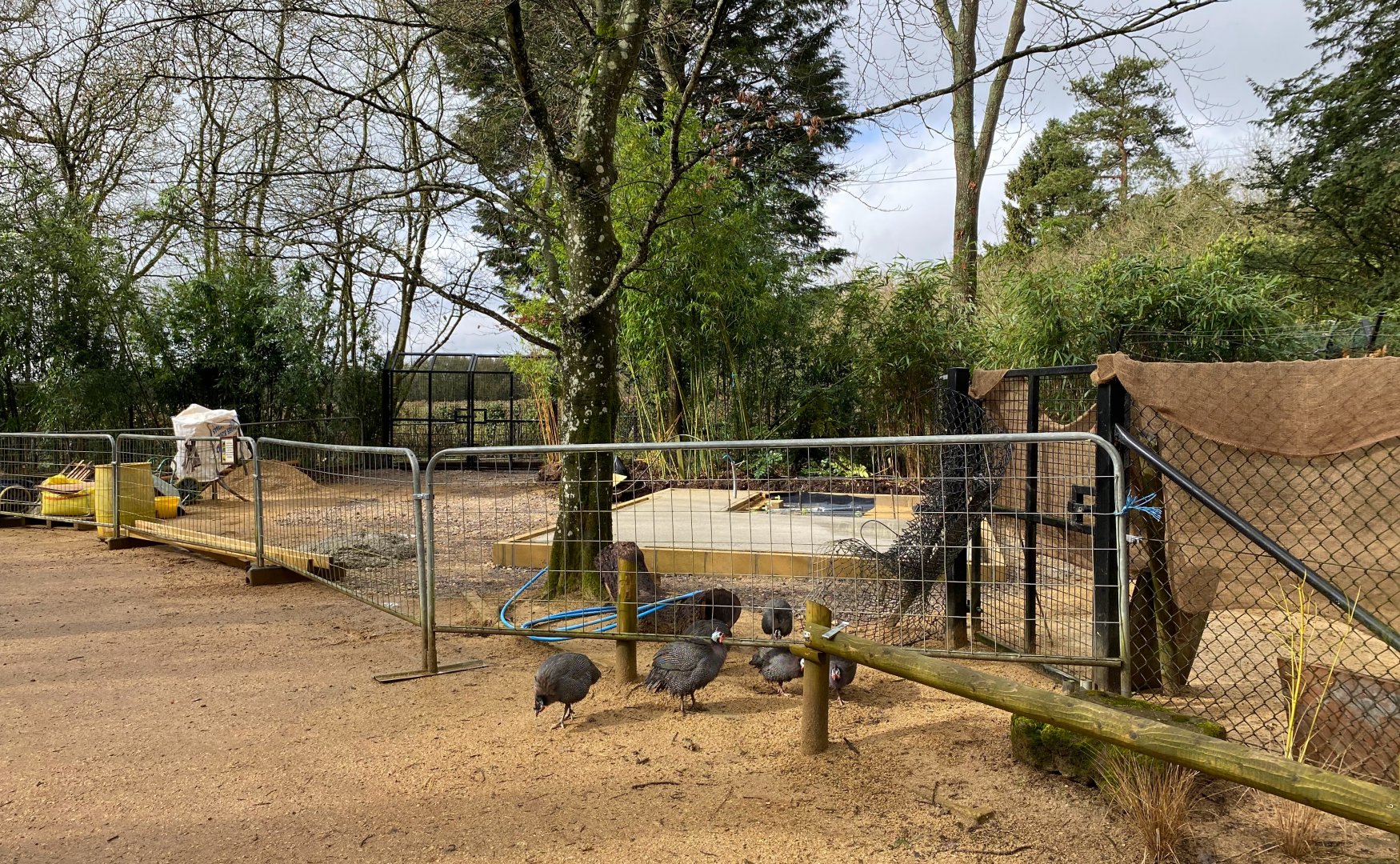 Old second Anteater house demolished and new foundations laid, CWP, UK