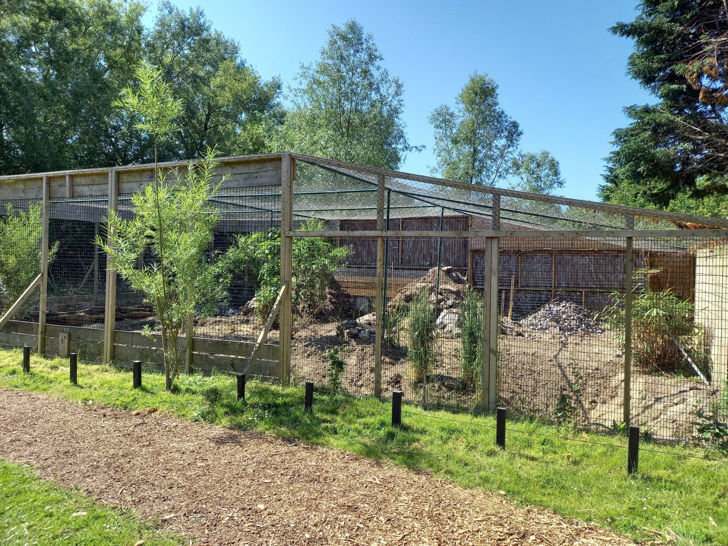 Old Serval-enclosure - refurnishing