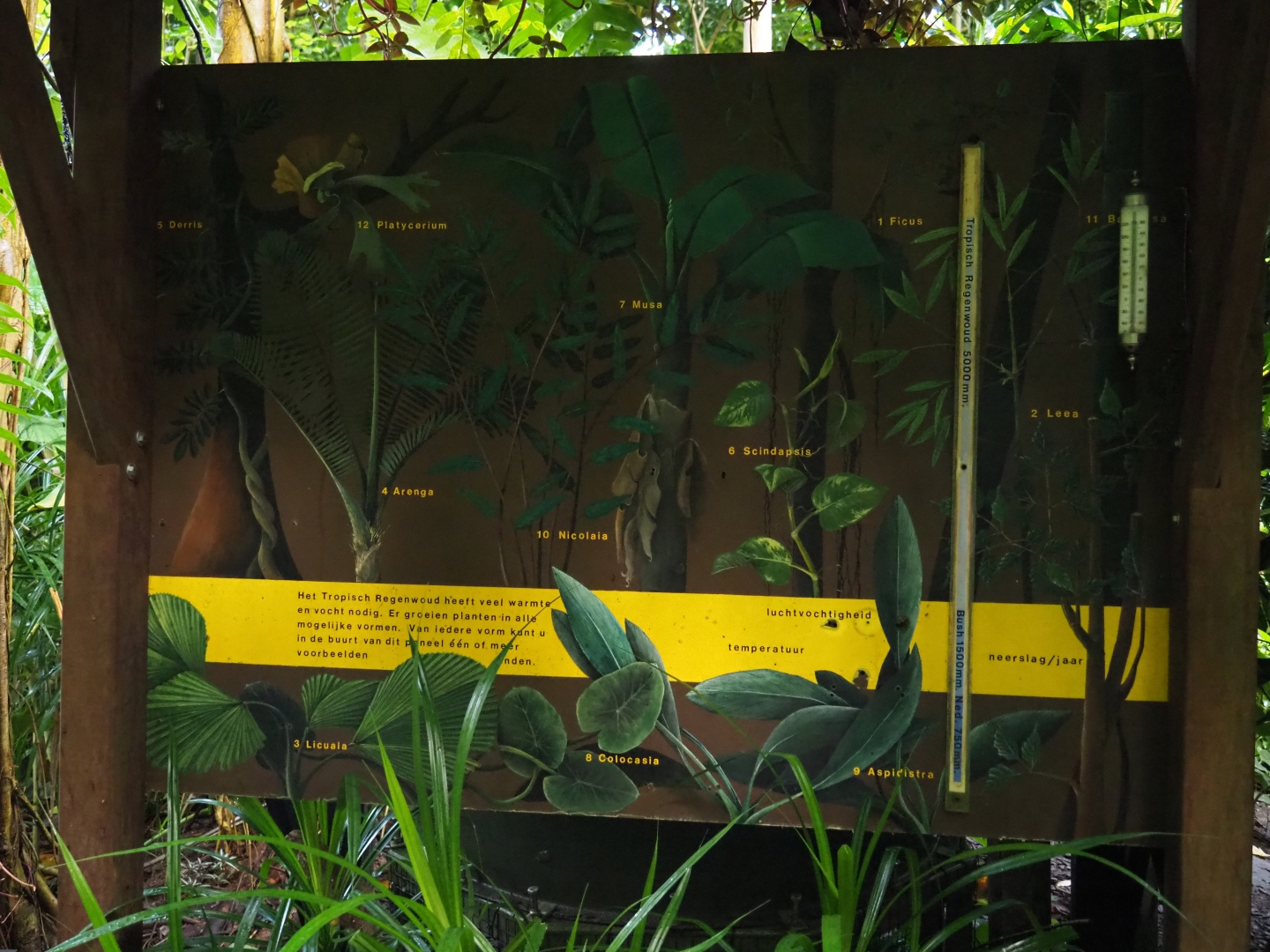 Old sign about plants (Sep 16th, 2018)